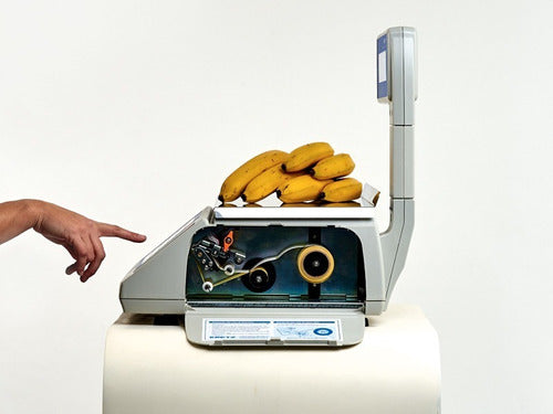 Balanza Comercial Kretz Report Lt 30Kg Impresor Ticket Etiqueta