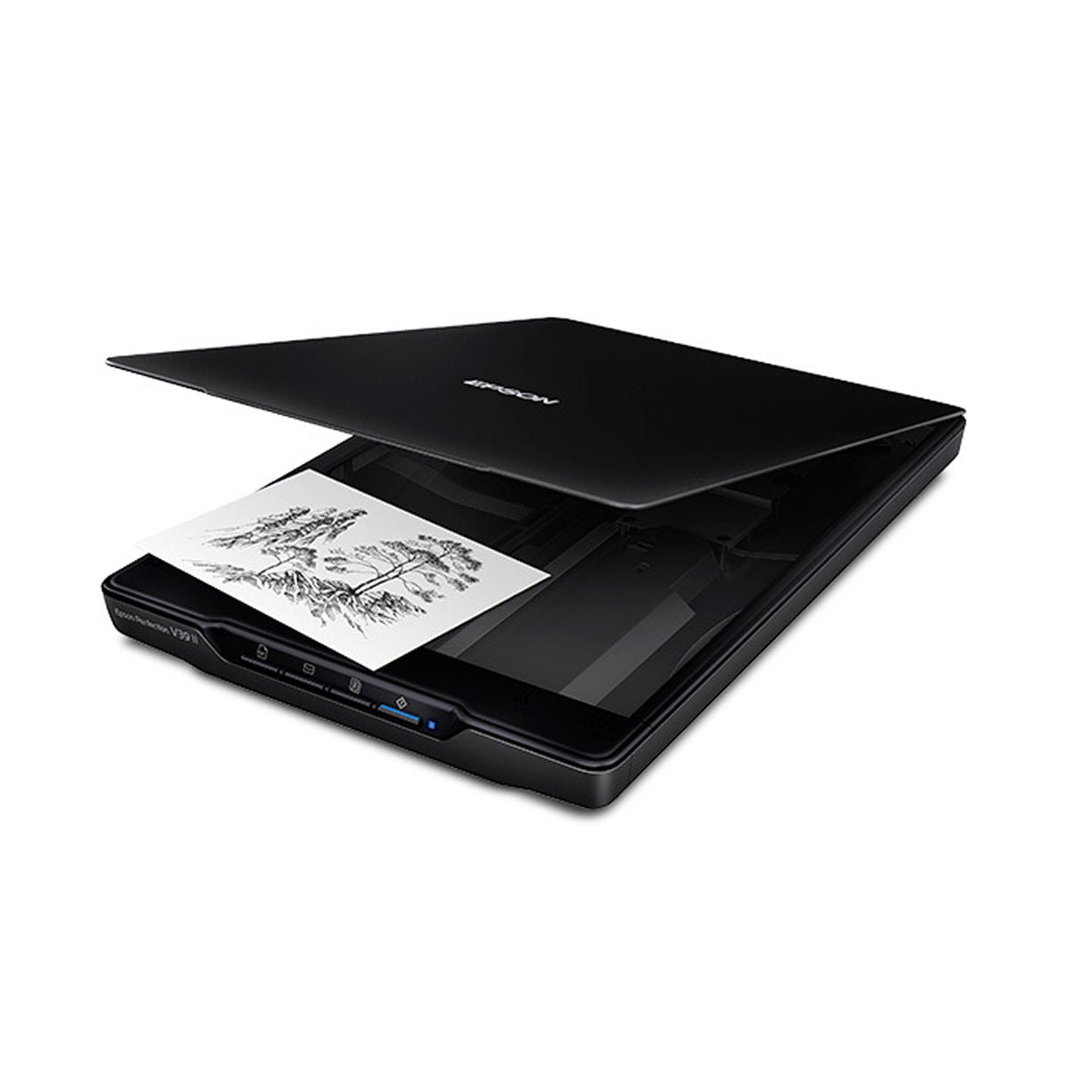 Escaner de documentos Epson Perfection V39 II